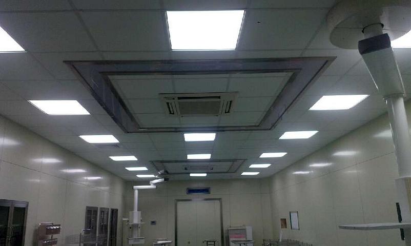 Illuminated ceiling panel